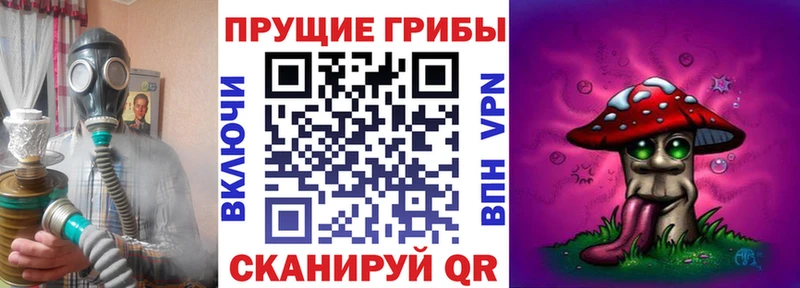 кракен вход  Торопец  Галлюциногенные грибы Magic Shrooms 